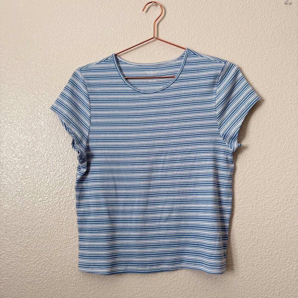 American Eagle blue white stripe baby tee short sleeve